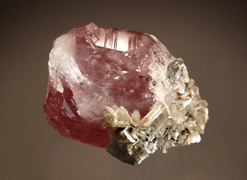 Fluorapatite
Haramosh Mts., Skardu District, Gilgit-Baltistan, Pakistan
3.5 x 4.5 cm.
Glassy pink translucent crystal of fluorapatite associated with minor muscovite. (Author: crosstimber)