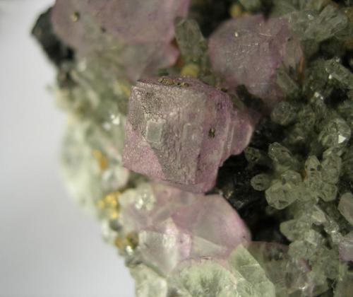 Fluorite
Trevaunance mine, St Agnes, Cornwall, England, UK
Crystals to 7mm (Author: ian jones)
