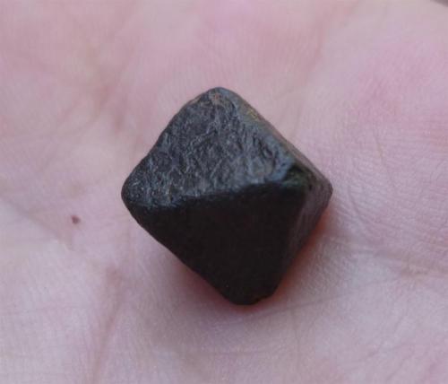 Magnetita
Brasil
Eje del octaedro 1,2 cm (Autor: María Jesús M.)