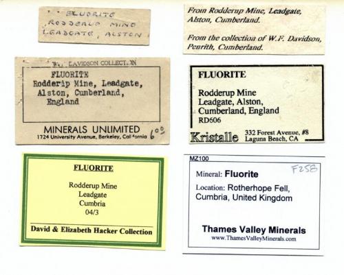 Fluorite - labels
collection of labels for the above specimen (Author: Jesse Fisher)