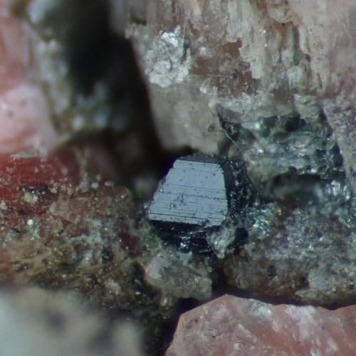 Anatase with pink feldspar.
Shap Pink Quarry, Shap, Cumbria, England, UK.
ca 1 mm crystal on 18 mm specimen. (Author: Ru Smith)