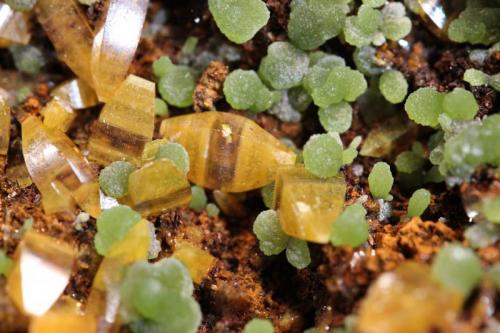 Mimetite, Wulfenite
Ojuela Mine, Mapimi, Mun. de Mapimi, Durango, Mexico
10.5 x 10 cm (Author: Don Lum)