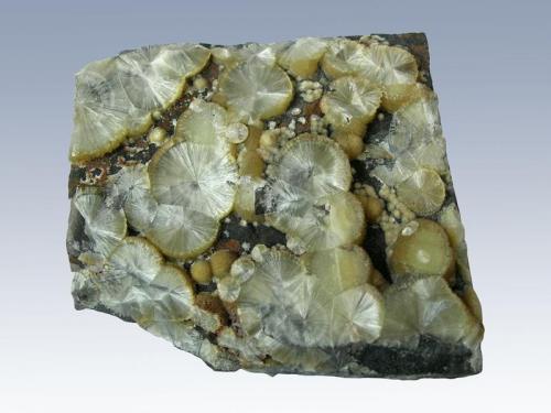 Wavellite to 18mm diameter. Collected in 1986 (Author: ian jones)