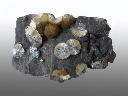 Highdown Quarry, Filleigh, Devon, England, UK.
Radiating balls of wavellite crystals to 12mm diameter. Collected in 1979 (Author: ian jones)