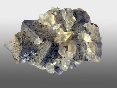 Fluorite
Ladywash Mine, Eyam, Derbyshire, England, UK
Fluorite crystals to 25mm, speckled, and included with, small chalcopyrite and pyrite crystals, plus calcite crystals to 15mm.

Ex Arthur Scoble collection, collected circa 1980. (Author: ian jones)