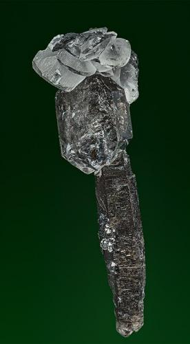 Quartz, Calcite
Benchmark Quarry, St Johnsville, Montgomery Co., New York
5.4 x 1.9 cm (Author: am mizunaka)