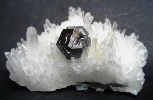 Galena, quartz
Palomo Mine, Castrovirreyna Province, Huancavelica Department, Peru
Specimen size 9 cm, galena crystal 2 x 1,5 cm (Author: Tobi)