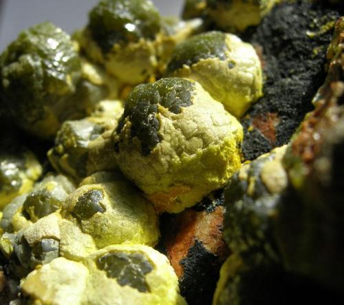 Mimetite
Dry Gill Mine, Caldbeck Fells, Cumbria, England, UK

Dark green mimetite balls to 10mm with a secondary coating of lighter green pyromorphite? (Author: ian jones)