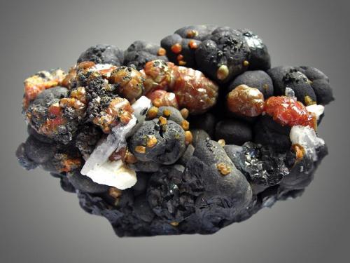 Mimetite
Dry Gill Mine, Caldbeck Fells, Cumbria, England, UK

Brown mimetite balls to 12mm on botryoidal manganese (hollandite?) with associated white baryte (Author: ian jones)