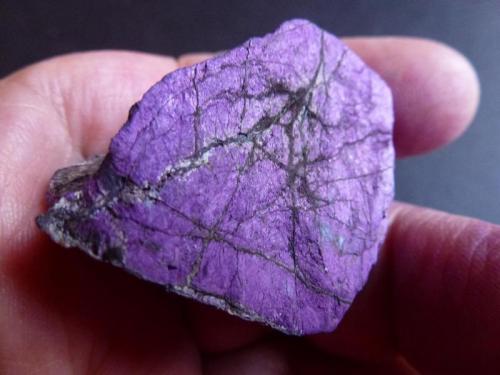 Heterosita-Purpurita (Serie)<br />Pinilla de Fermoselle, Villar del Buey, Comarca Sayago, Zamora, Castile and León, Spain<br />4 x 4 cm.<br /> (Autor: javier ruiz martin)
