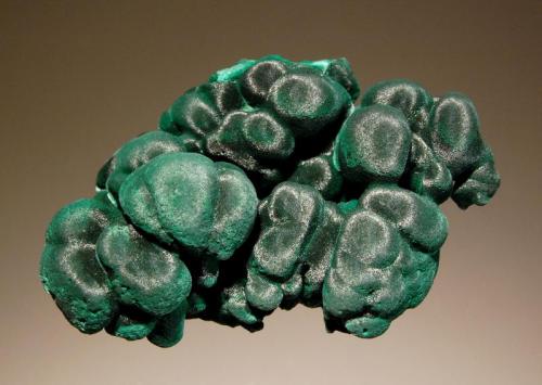 Malachite
Shilu Mine, Yangchun Co., Guangdong Prov., China
3.6 x 5.1 cm
Dark green botryoidal malachite with a chatoyant luster. (Author: crosstimber)