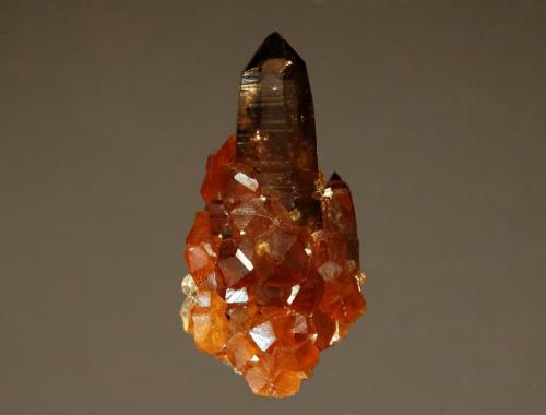 Smoky quartz
Wushan Mine, Tongbei, Yunxaio Co., Fujian Prov., China
2.3 cm.
A jacket of orange spessartine surrounding smoky quartz. (Author: crosstimber)