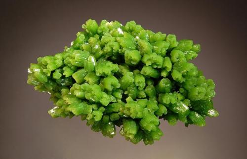 Pyromorphite
Daoping Mine, Gongcheng Co., Guilin Pref., Guangxi Zhuang AR, China
4.2 x 6.7 cm.
Apple-green, hexagonal prisms with hoppered terminations. (Author: crosstimber)
