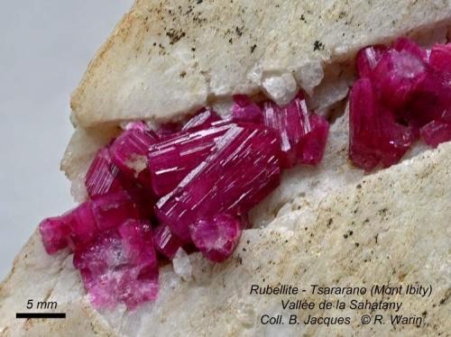 Liddicoatite (rubellite)
Tsararano (Mont Ibity) - Sahatany Valley.
close up (Author: Roger Warin)