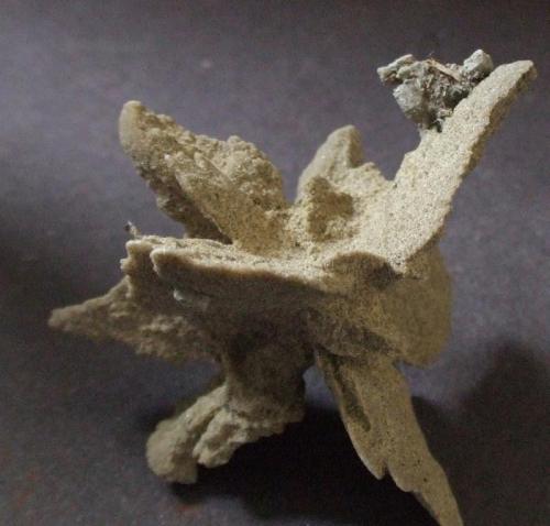 Gypsum.
Sturry Pit, nr Canterbury, Kent, England, UK.
70 x 55 mm (Author: nurbo)