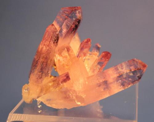 Quartz (var Amethyst)
Las Vigas, Vera Cruz, Mexico
5.5 x 4.5 cm (Author: Don Lum)