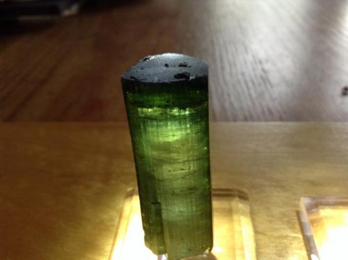 Elbaite
Minas Gerais, Brazil
5.4cm x1.8cm x1.8cm (Author: Mark Ost)