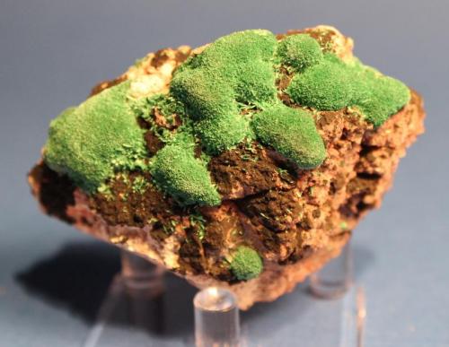 Malachite
Milpillas Mine, Cuitaca, Mun. de Santa Cruz, Sonora, Mexico
7.4 x 5.1 x 2.8 cm (Author: Don Lum)