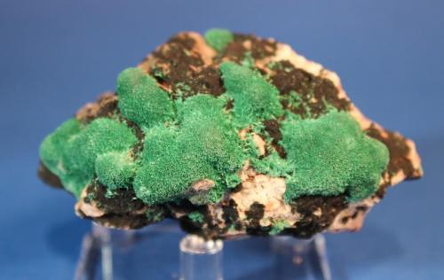 Malachite
Milpillas Mine, Cuitaca, Mun. de Santa Cruz, Sonora, Mexico
7.4 x 5.1 x 2.8 cm (Author: Don Lum)