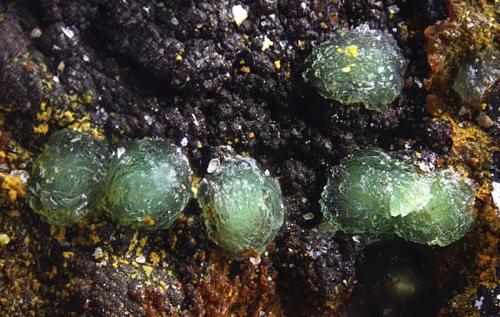 Calcosiderita.
Minas de El Horcajo, El Horcajo, Almodóvar del Campo, Ciudad Real, Castilla-La Mancha, España.
Campo de visión de 1,5 mm (Autor: Antonio Carmona)