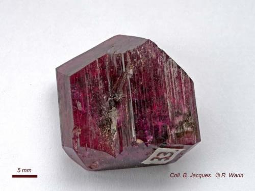 liddicoatite
same specimen
rear part (Author: Roger Warin)