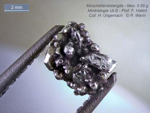 Moschellandsbergite
Mexico
7  mm
exceptional crystals (Author: Roger Warin)