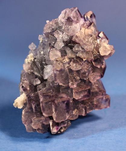 Fluorite
2nd Sovietsky Mine, Dalnegorsk, Russia
8 x 6 cm (Author: Don Lum)