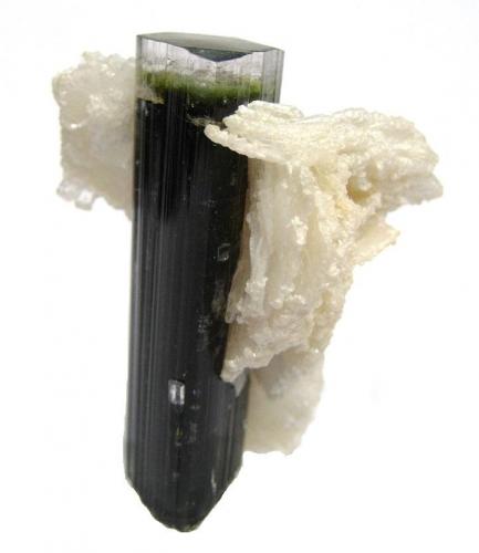 Elbaite, albite
Stak Nala, Haramosh Mts., Skardu District, Baltistan, Gilgit-Baltistan (Northern Areas), Pakistan
Crystal height 4,5 cm
 (Author: Tobi)