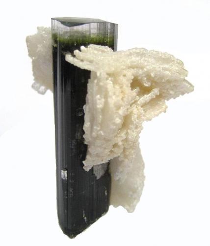 Elbaite, albite
Stak Nala, Haramosh Mts., Skardu District, Baltistan, Gilgit-Baltistan (Northern Areas), Pakistan
Crystal height 4,5 cm (Author: Tobi)