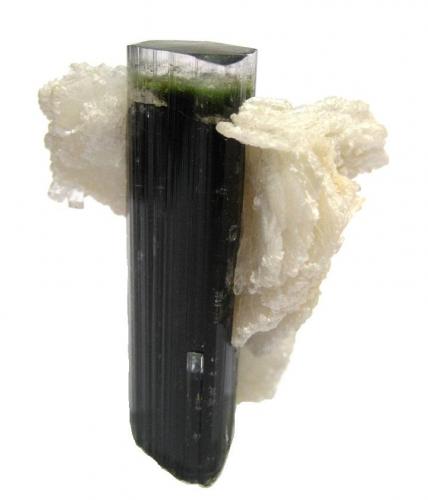 Elbaite, albite
Stak Nala, Haramosh Mts., Skardu District, Baltistan, Gilgit-Baltistan (Northern Areas), Pakistan
Crystal height 4,5 cm (Author: Tobi)