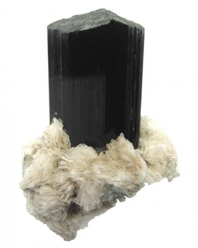 Schorl, albite
Shengus (Shingus), Haramosh Mts., Skardu District, Baltistan, Gilgit-Baltistan (Northern Areas), Pakistan
Specimen height 5 cm
 (Author: Tobi)