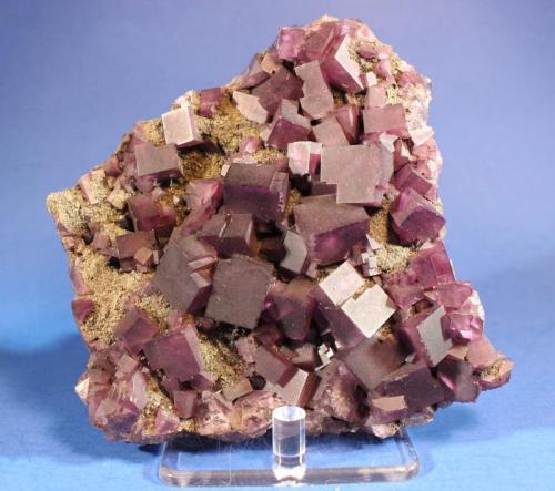 Fluorite
Denton Mine, Hardin County, Illinois, USA
13 x 12.7 x 3.3 cm
Raspberry fluorite on fluorite matrix (Author: Don Lum)