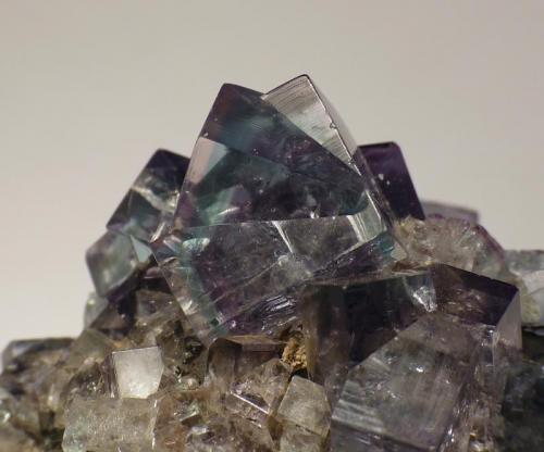 Fluorite
Blue Circle Cement Quarry, Eastgate, Weardale, Co.Durham, England, UK
Field of view 5 cm
 (Author: Leon Hupperichs)