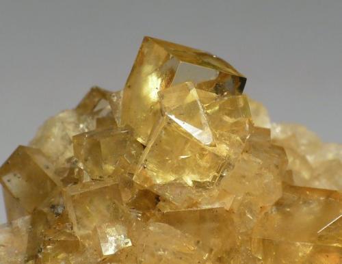Fluorite
Hilton Mine, Scordale, North Pennines, Cumbria, England, UK.
Field of view 4 cm
 (Author: Leon Hupperichs)