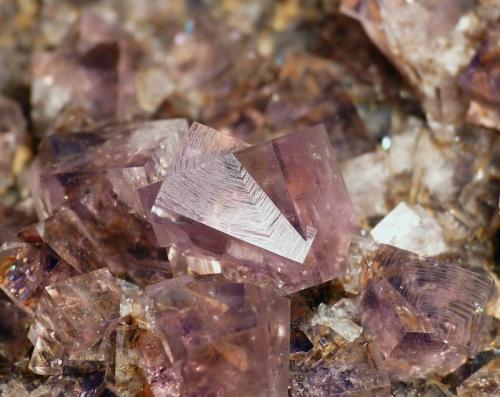 Fluorite
Rotherhope Fell Mine, Alston Moor District, Cumbria, England, UK.
Field of view 4 cm
 (Author: Leon Hupperichs)