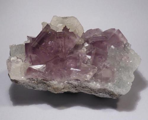 Fluorite
Cambokeels Mine, Westgate, Weardale, North Pennines, Co.Durham, England, UK
size 10 x 6 cm.
 (Author: Leon Hupperichs)