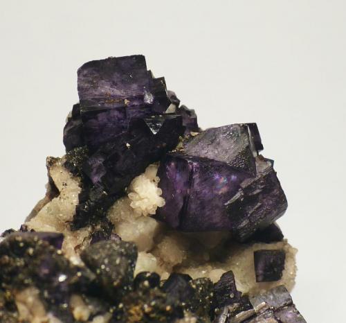 Fluorite
Carn Brea Mine, Illogan, Cornwall, England, UK.
Field of view 4 cm
 (Author: Leon Hupperichs)