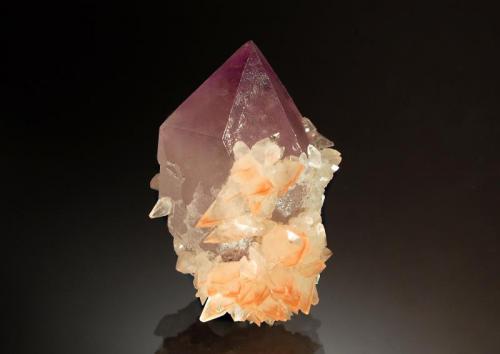 Quartz var. amethyst
Tonglushan Mine, Daye Co., Huangshi Pref., Hubei Prov., China
3.3 x 4.8 cm
A single amethyst crystal with a partial jacket of small scalenohedral calcite crystals with reddish-brown tinged terminations. (Author: crosstimber)