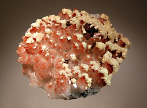 Quartz
Fengjiashan Mine, Daye Co., Huangshi Pref., Hubei Prov., China
8.2 x 10.4 cm
Opaque white quartz crystals included with reddish brown iron oxides, preferentially coated with white dolomite and associated with chalcopyrite crystals. (Author: crosstimber)