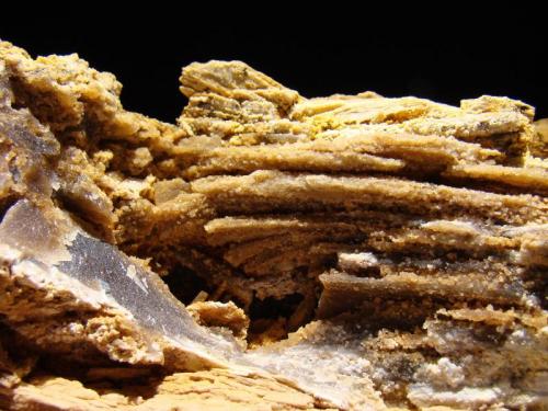 Ópalo (variedad Xilópalo)
Estercuel, Teruel, Aragón, España
27x9x10 cm
Cretácico 110 m.a aproximadamente.
Detalle de la mineralización de la pieza.
Muestra recogida por nosotros en 1978. (Autor: D.N.S.Borràs)