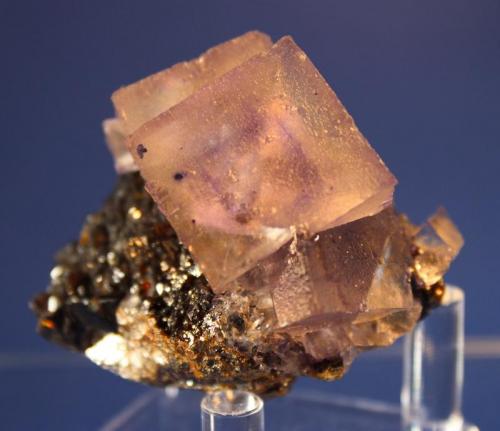 Fluorite
Elmwood Mine, Smith County, Tennessee, USA
6.2 x 5.5 cm (Author: Don Lum)