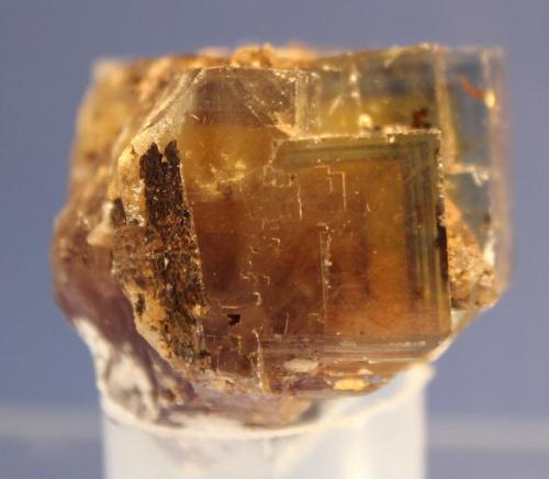 Fluorite
El Hammam Mine, Morocco
4.8 x 4 cm (Author: Don Lum)