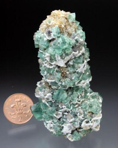 Fluorite on quartz
Rogerley Mine, Frosterley, Weardale, Co. Durham, England, UK
approximately 10 cm tall
From the Corner Pocket, West Crosscut, 2004 (Author: Jesse Fisher)