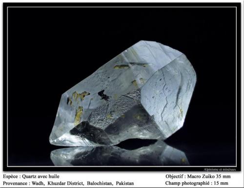 Quartz with hydrocarbons inclusions
Wadh, Pakistan
fov 15 mm (Author: ploum)