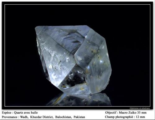 Quartz with hydrocarbons inclusions
Wadh, Pakistan
12 mm (Author: ploum)