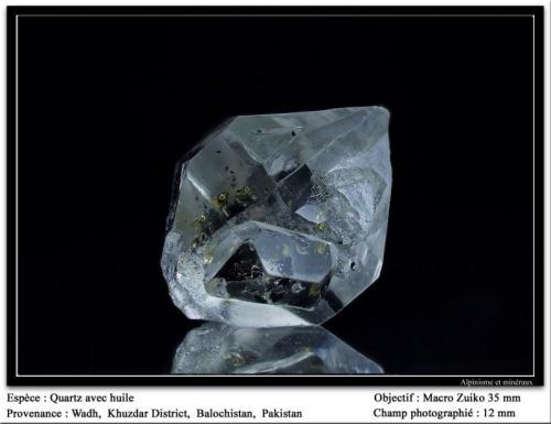 Quartz with hydrocarbons inclusions
Wadh, Pakistan
fov 12 mm (Author: ploum)