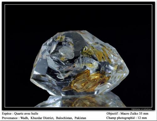 Quartz with hydrocarbons inclusions
Wadh, Pakistan
fov 12 mm (Author: ploum)