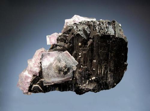 Ferberite
Yaogangxian Mine, Yizhang Co., Chenzhou Pref., Hunan Province, China
5.1 x 7.6 cm.
Striated black ferberite crystals in parallel growth associated with pale purple fluorite cubes to 1.7 cm. (Author: crosstimber)