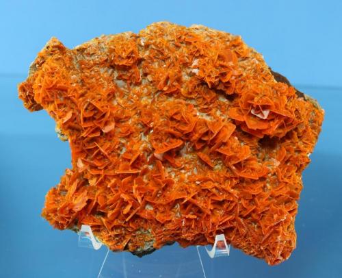 Wulfenite
Xin Jiang Province, China
15 x 11 x 5 cm (Author: Don Lum)