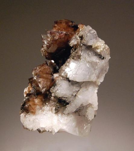 Scheelite
Yaogangxian Mine, Yizhang Co., Chenzhou Pref., Hunan Prov., China
4.0 x 4.5 cm
Lustrous brown scheelite crystals on a milky quartz matrix. (Author: crosstimber)